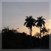 image01