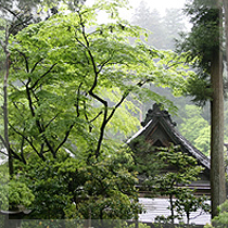 image01